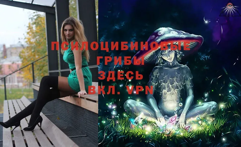 Галлюциногенные грибы Magic Shrooms  купить  сайты  Красноармейск 